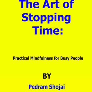 the art of stopping time pedram shojai